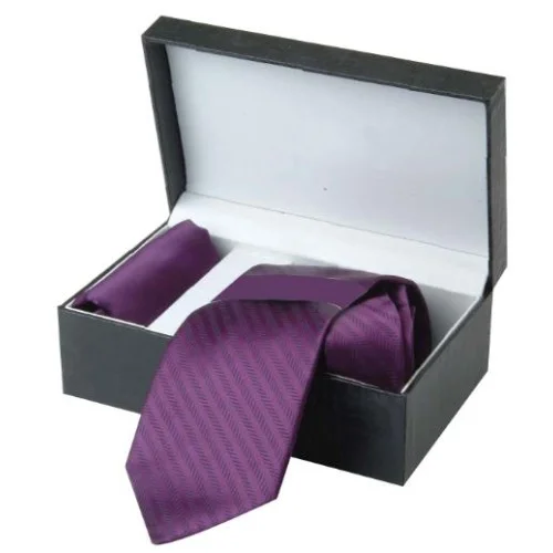 Elite Form Purple Necktie & Pocket Square Set